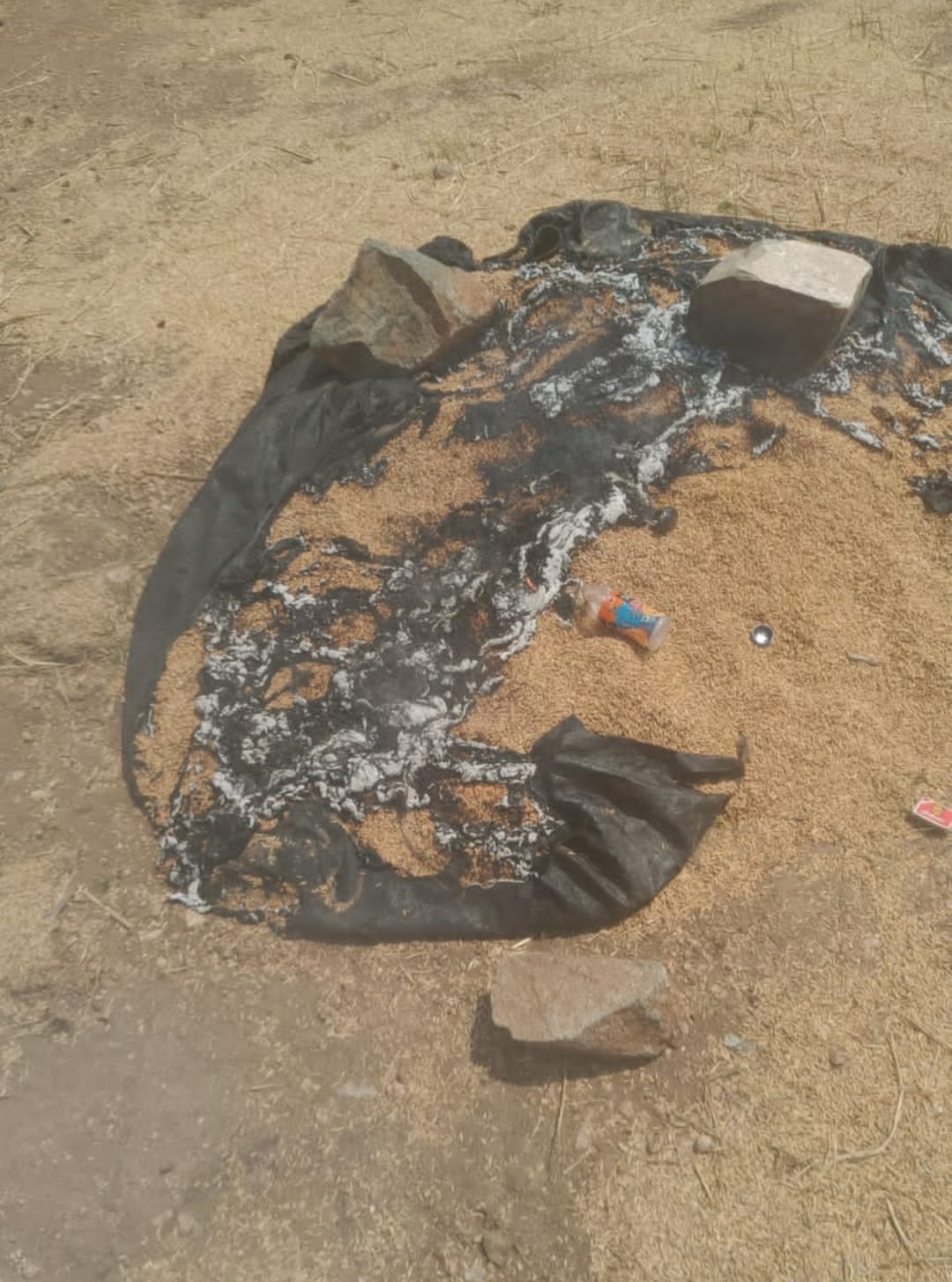 మనస్థాపానికి గురై ధాన్యాన్ని తగలబెట్టిన రైతు