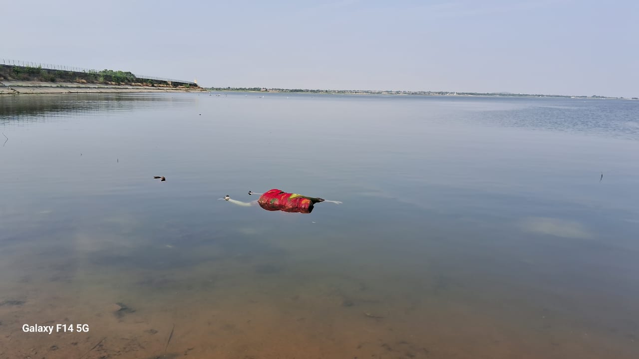 డిండి ప్రాజెక్టులో గుర్తు తెలియని మృతదేహం లభ్యం