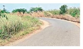 మలుపుల వద్ద హెచ్చరిక బోర్డులు ఏర్పాటు చేయండి